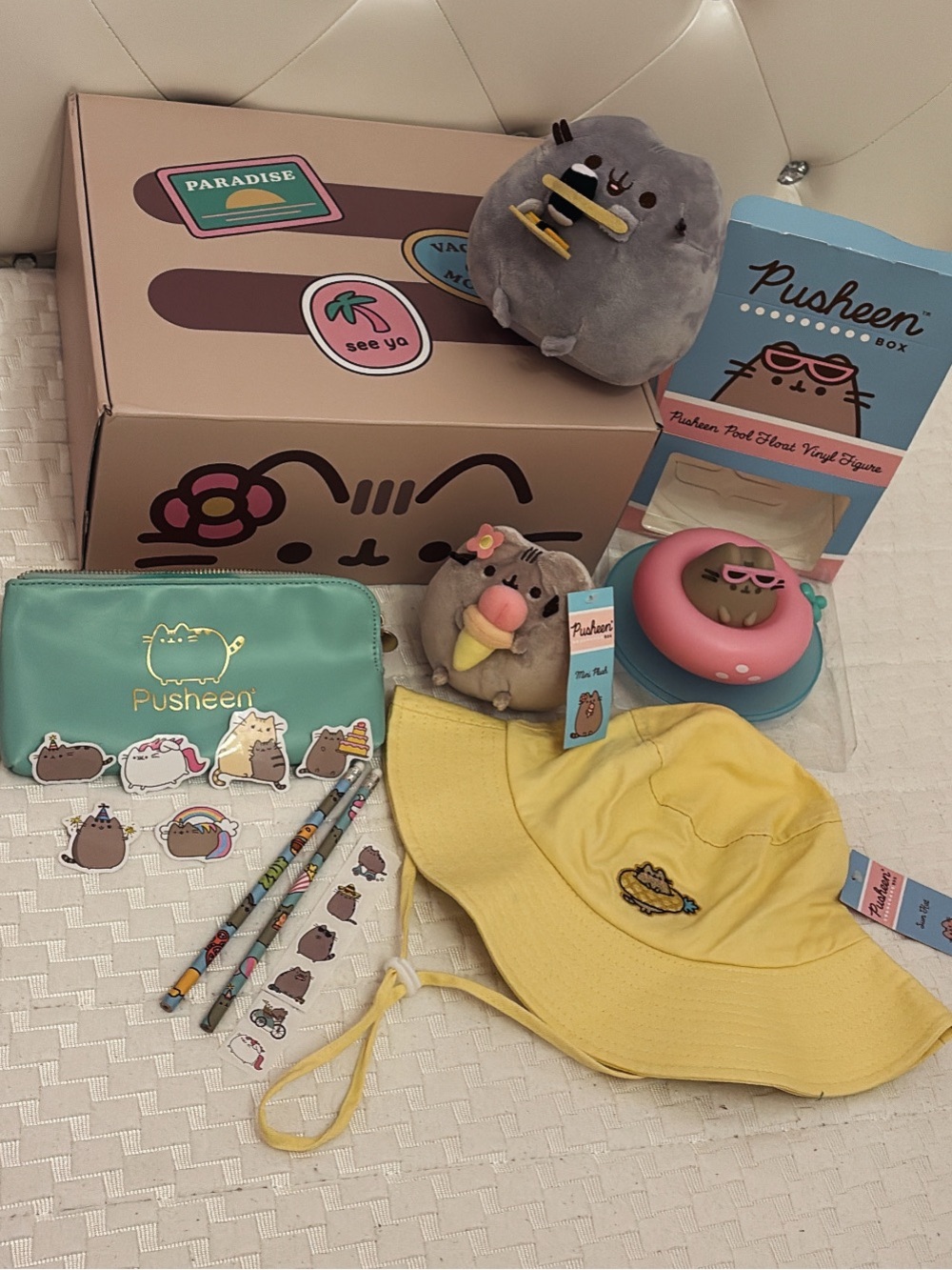 NEW Pusheen bundle of 20 collectable items Sushi Pusheen and Summer Box included